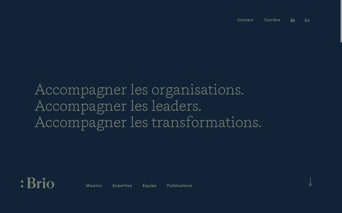 Brio Conseils website preview