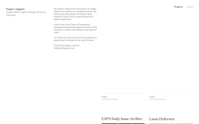 Kasper Laigaard website preview