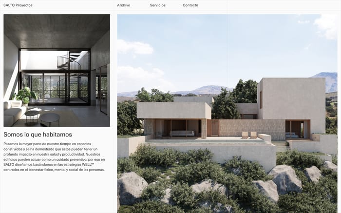 Salto proyectos website preview