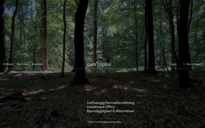 Curo Capital website preview