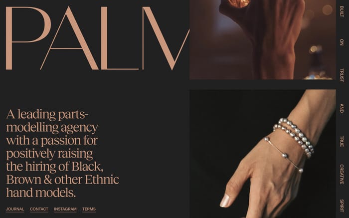 Palmar website preview