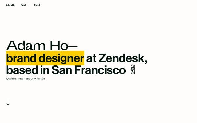 Adam Ho website preview