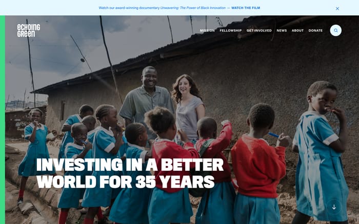 Echoing Green website preview