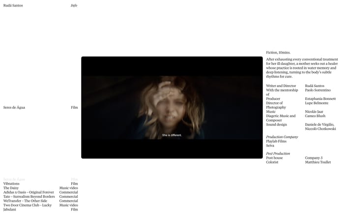 Ruda Santos website preview