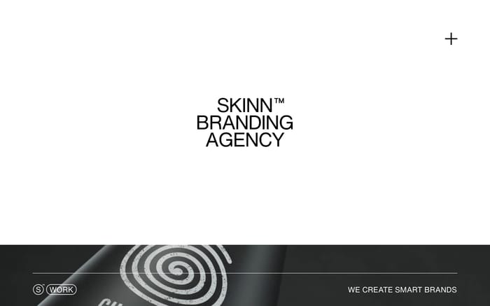 Skinn website preview
