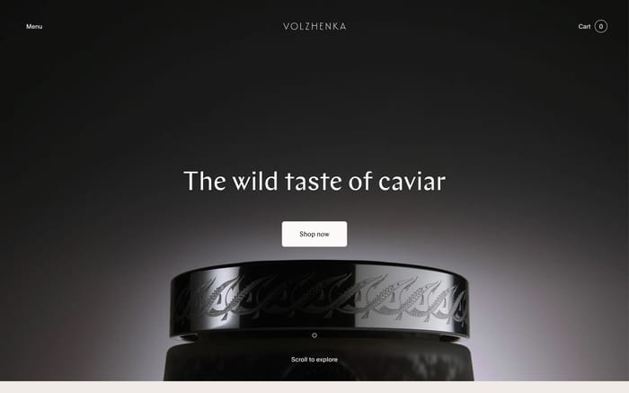 Volzhenka website preview