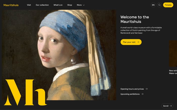 The Mauritshuis website preview
