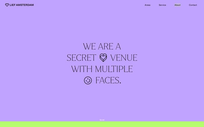 Lief Amsterdam website preview