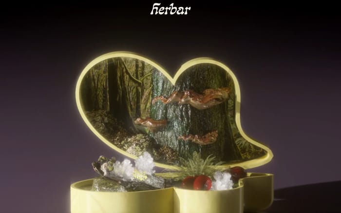 Herbar website preview
