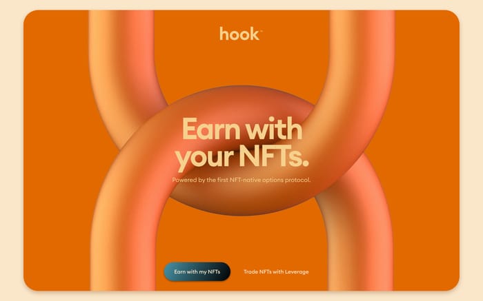 Hook website preview