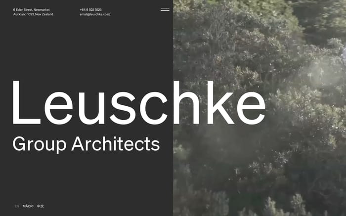 Leuschke Group Architects website preview