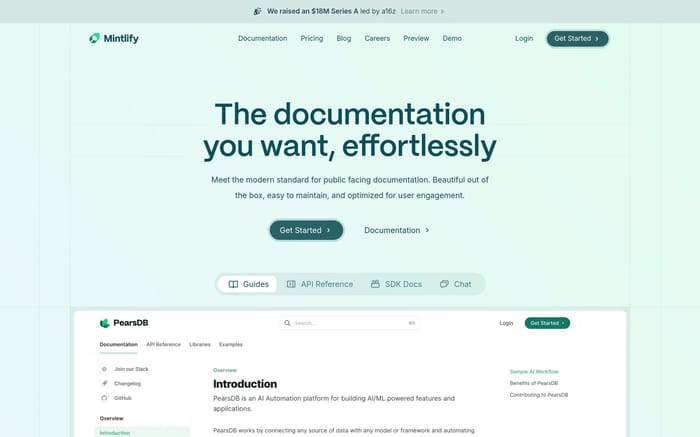 Mintlify website preview