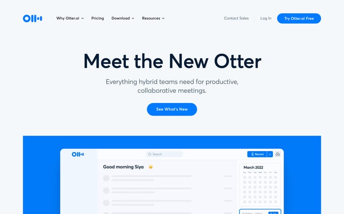 Otter.ai website preview