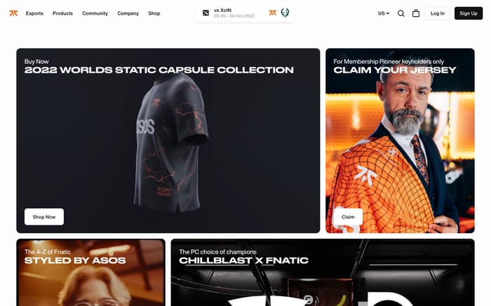 Fnatic website preview