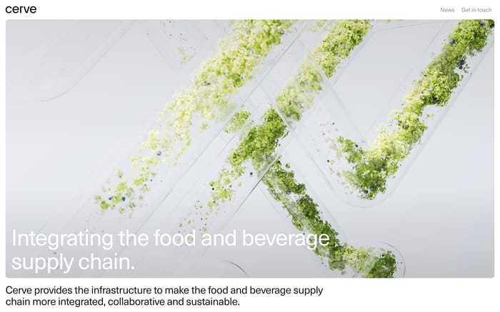 Cerve website preview