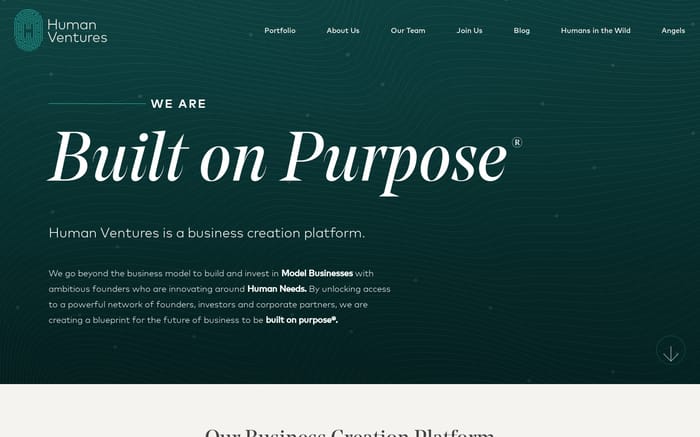 Human Ventures website preview