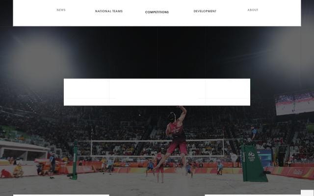 Volleyball website preview