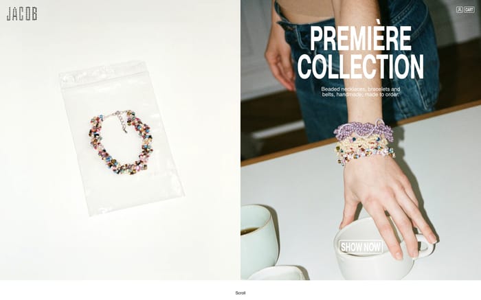 Jacob website preview