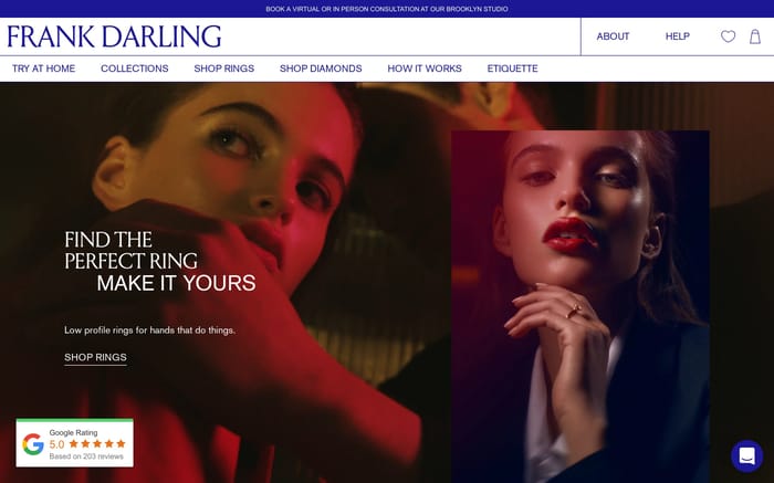 Frank Darling website preview