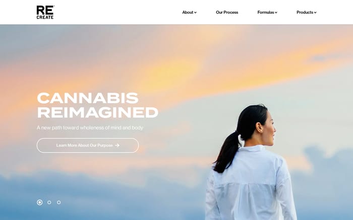 ReCreate website preview