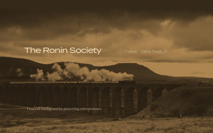  The Ronin Society website preview