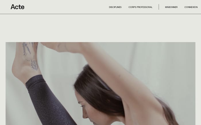 Acte training website preview