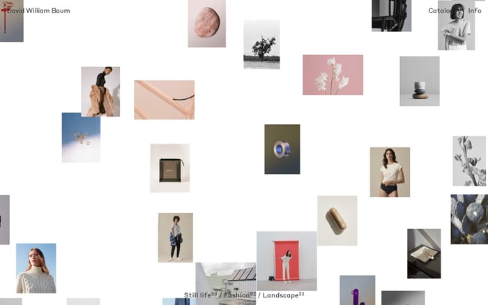 David William Baum website preview