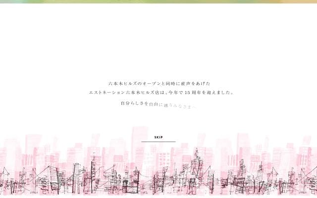 Estnation website preview