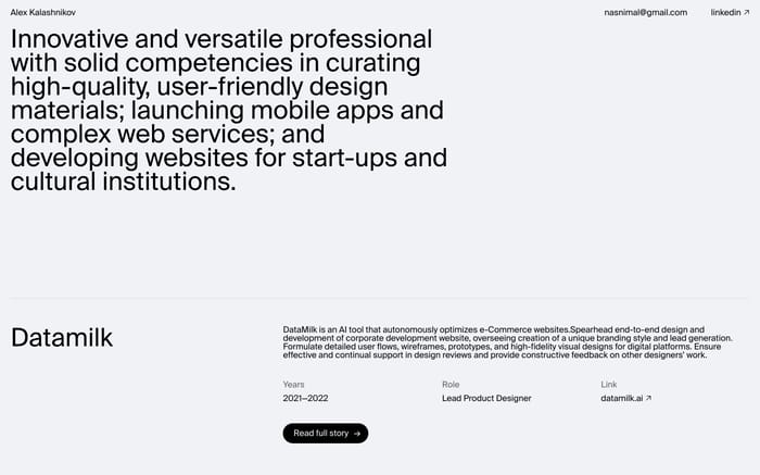 Alex Kalashnikov website preview
