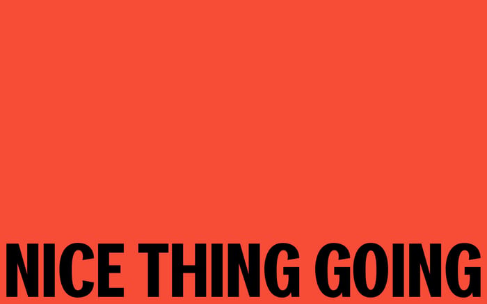 Nice Thing Going website preview