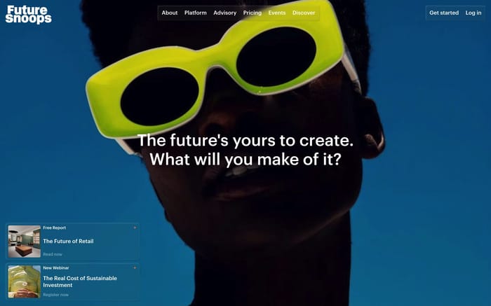 Future Snoops website preview