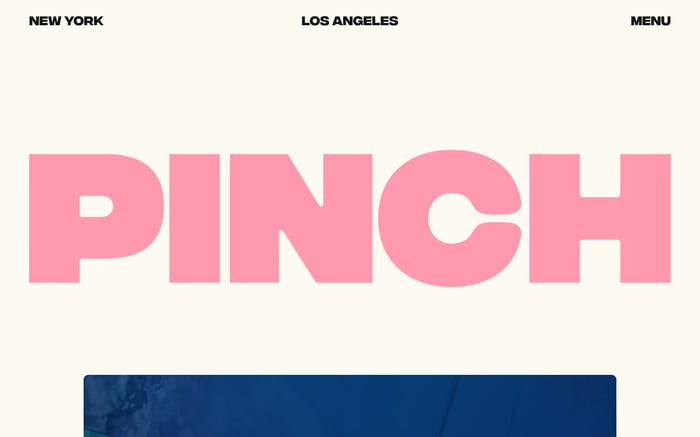 Pinch website preview