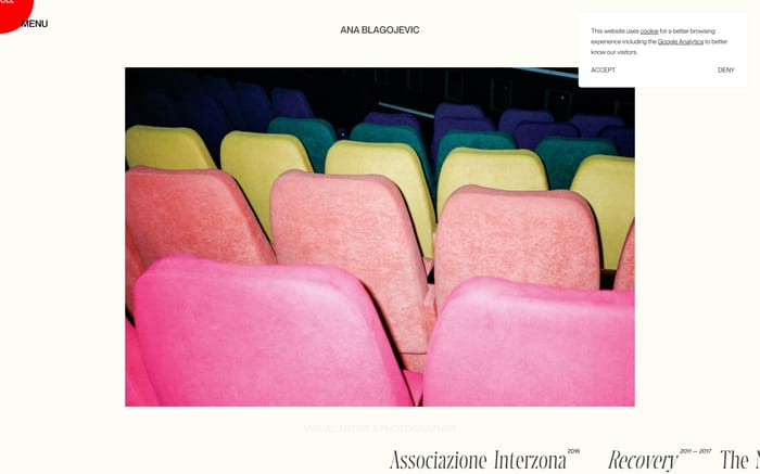 Ana Blagojevic website preview