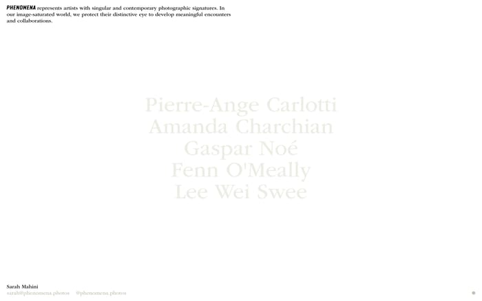 Phenomena website preview