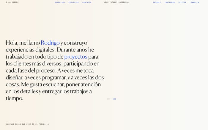 Rodrigo Núñez website preview