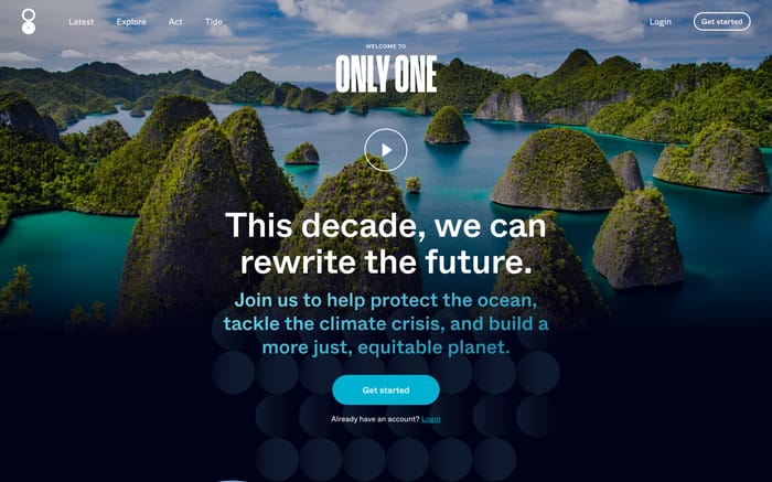 Only One website preview