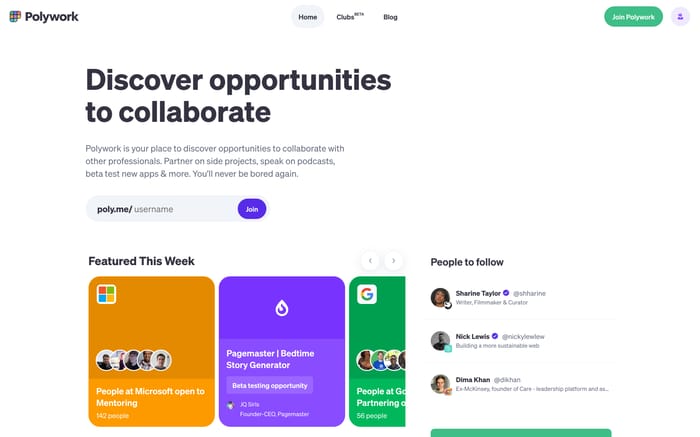 Polywork website preview