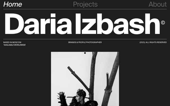 Daria Izbash website preview