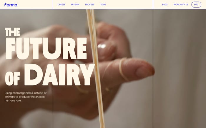 Formo website preview