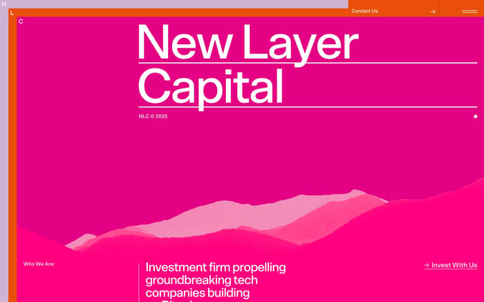 New Layer Capital website preview