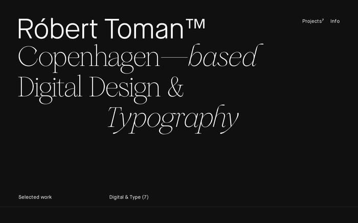 Robert Toman website preview