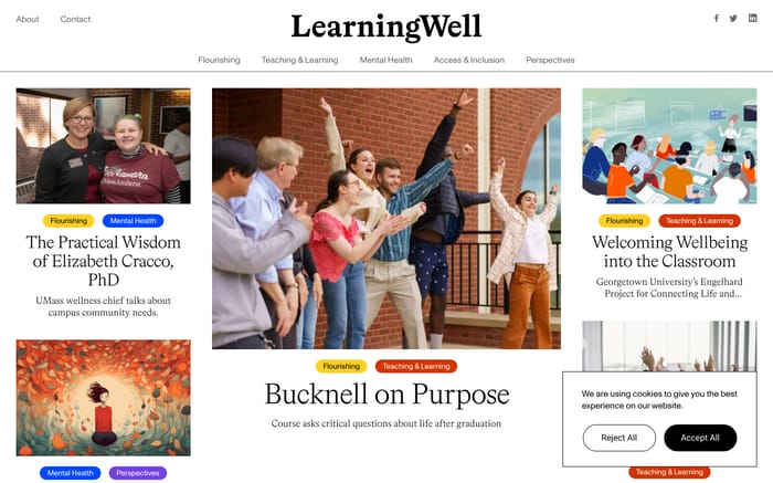LearningWell Magazine website preview