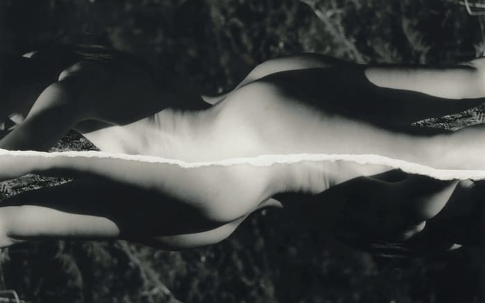 Daisy Walker website preview