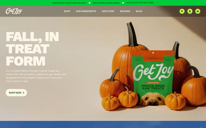 Get Joy Food website preview
