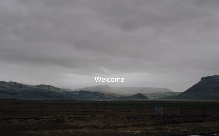 Scandinavian Algorithms website preview