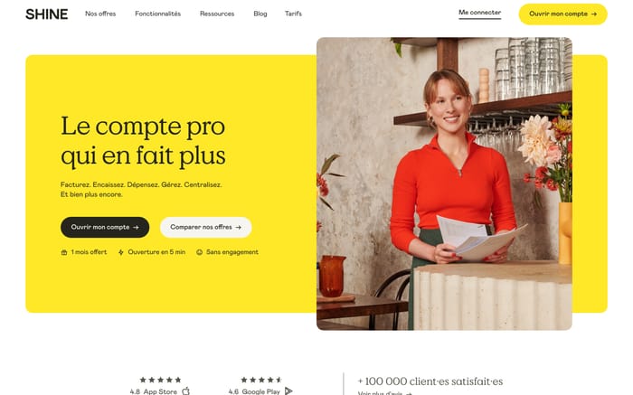 Shine website preview