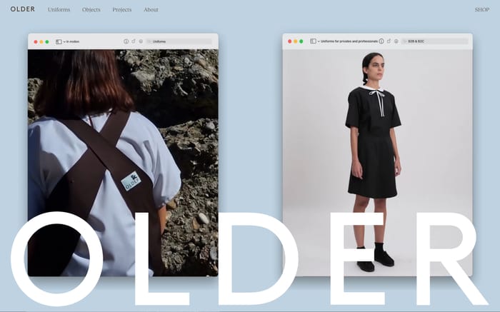 Older website preview