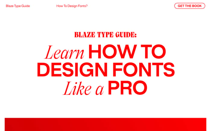 Blaze Type guide website preview