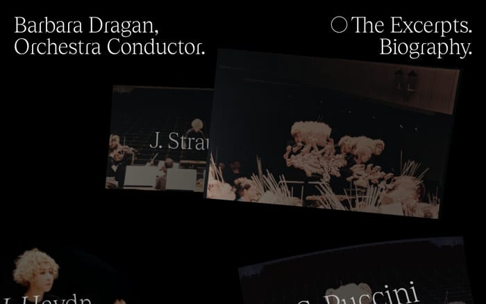 Barbara Dragan website preview
