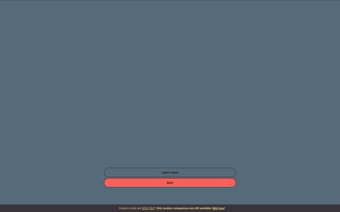 Companion in a box website preview